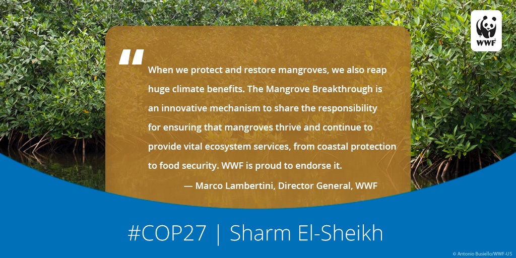 World Wildlife Fund tweet media