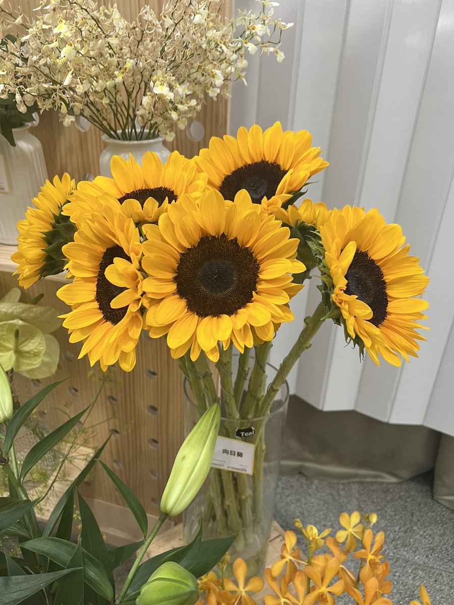 JoJo🇺🇦💝 tweet media