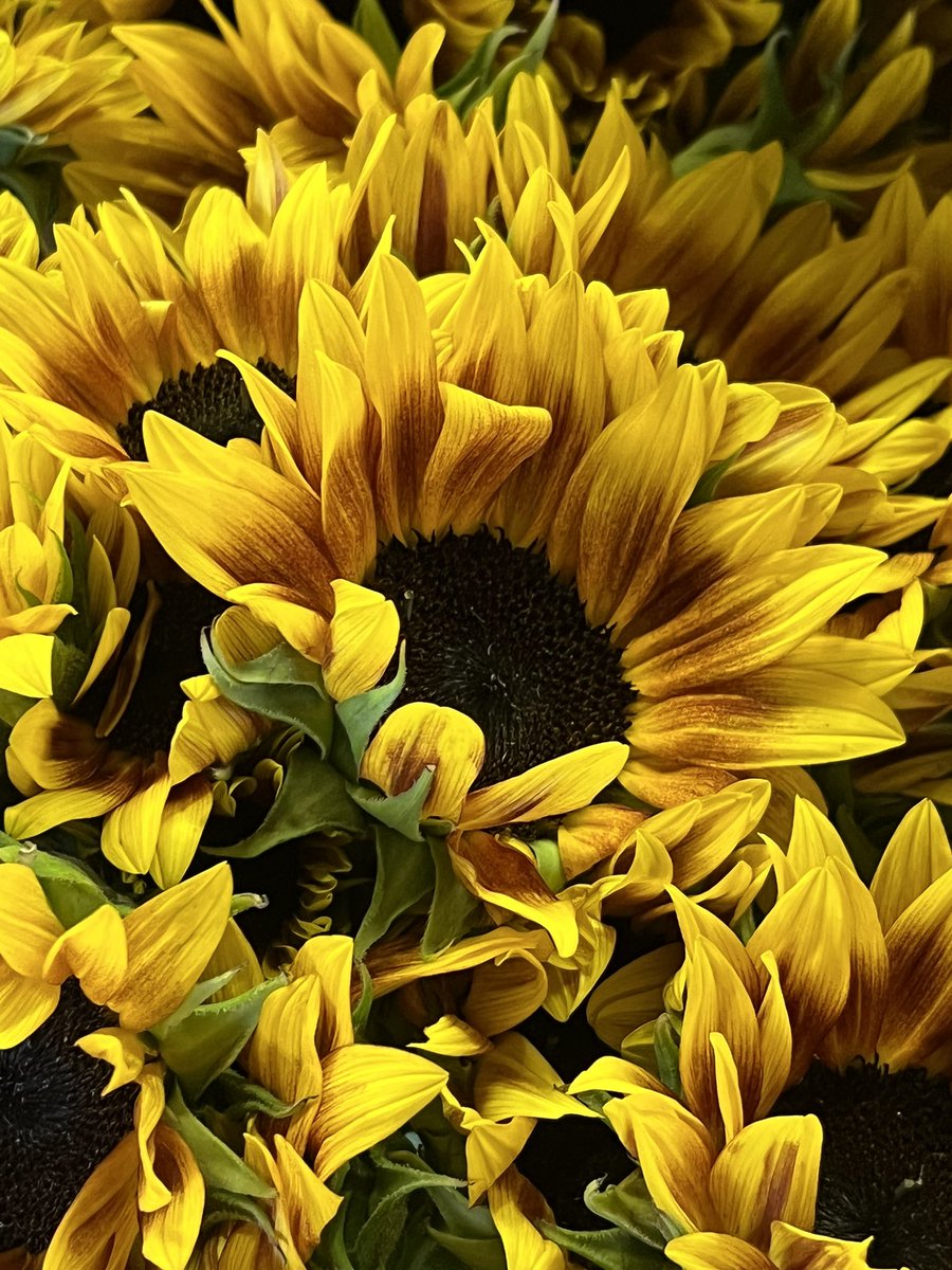 JoJo🇺🇦💝 tweet media