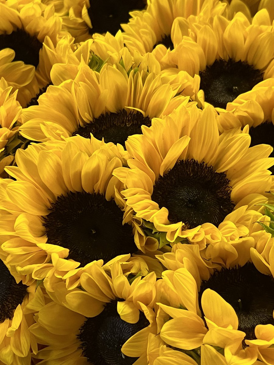 JoJo🇺🇦💝 tweet media