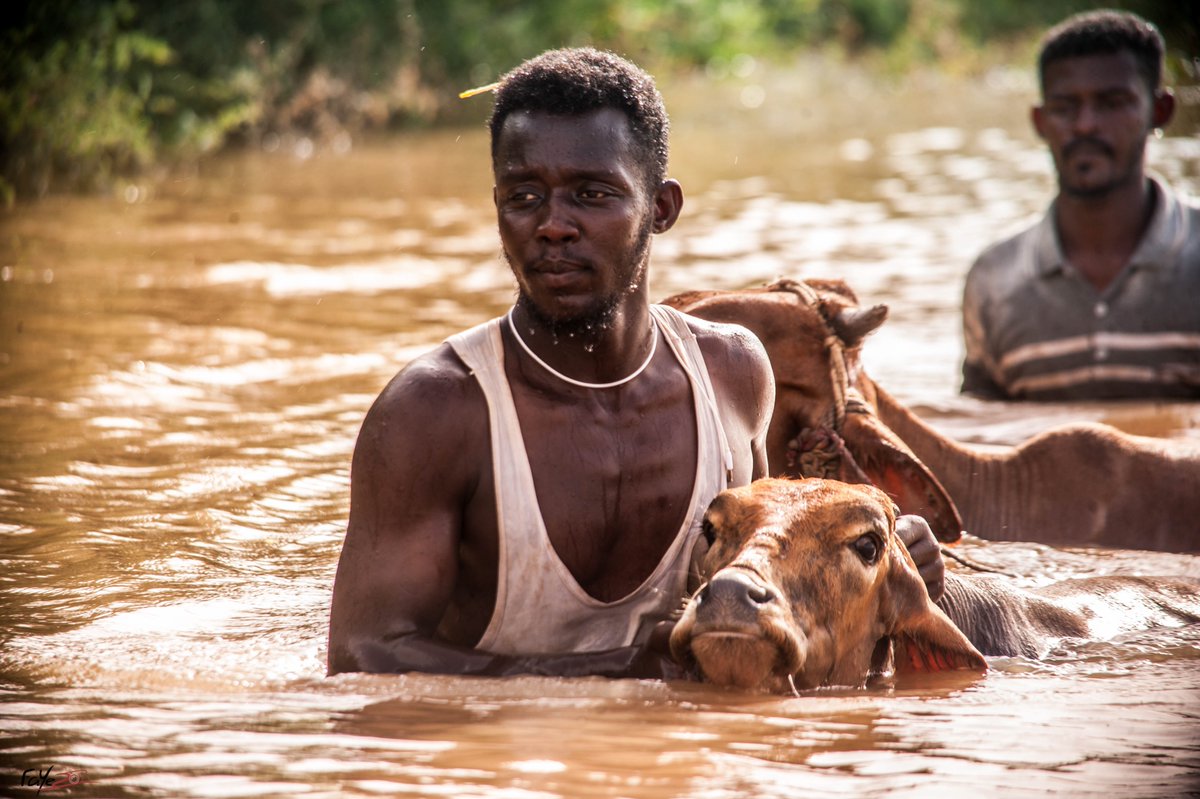 kipepeogh's tweet photo. #COP27  is happening on a continent that is currently experiencing the worst of the #ClimateCrisis. 
From 🌀Cyclones, ☀️Drought ,🌊Floods,🦗Locust upsurges &amp;🔥Heatwaves, Africa is experiencing #LossAndDamage everyday. 

The time for #LossAndDamageFinance &amp; #ClimateJustice is now! https://t.co/FmKnMOFj9S