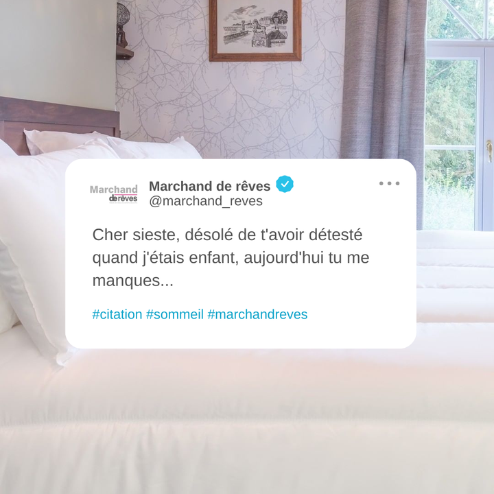 La citation du jour ! 
Et vous la sieste vous manque ?