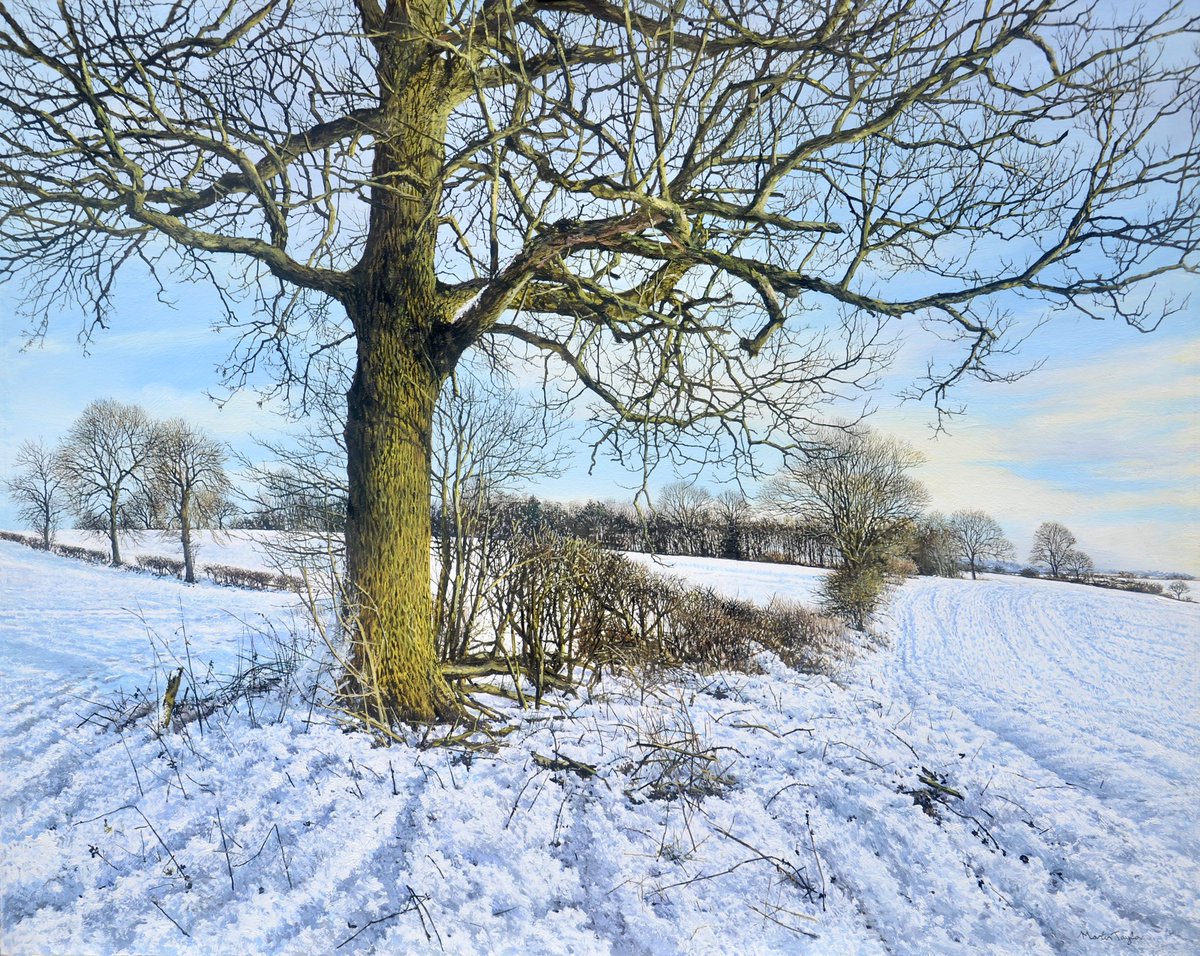mtaylorart1's tweet photo. @gnuimpersonator @Zara_Pie Here a couple of recent snow paintings though it’s 16 degrees now in November and not much sign of snow. You did so well on PAOTY. There was a couple of other decent artists who nice good work so you did well to get through. https://t.co/JX23YCmGWE