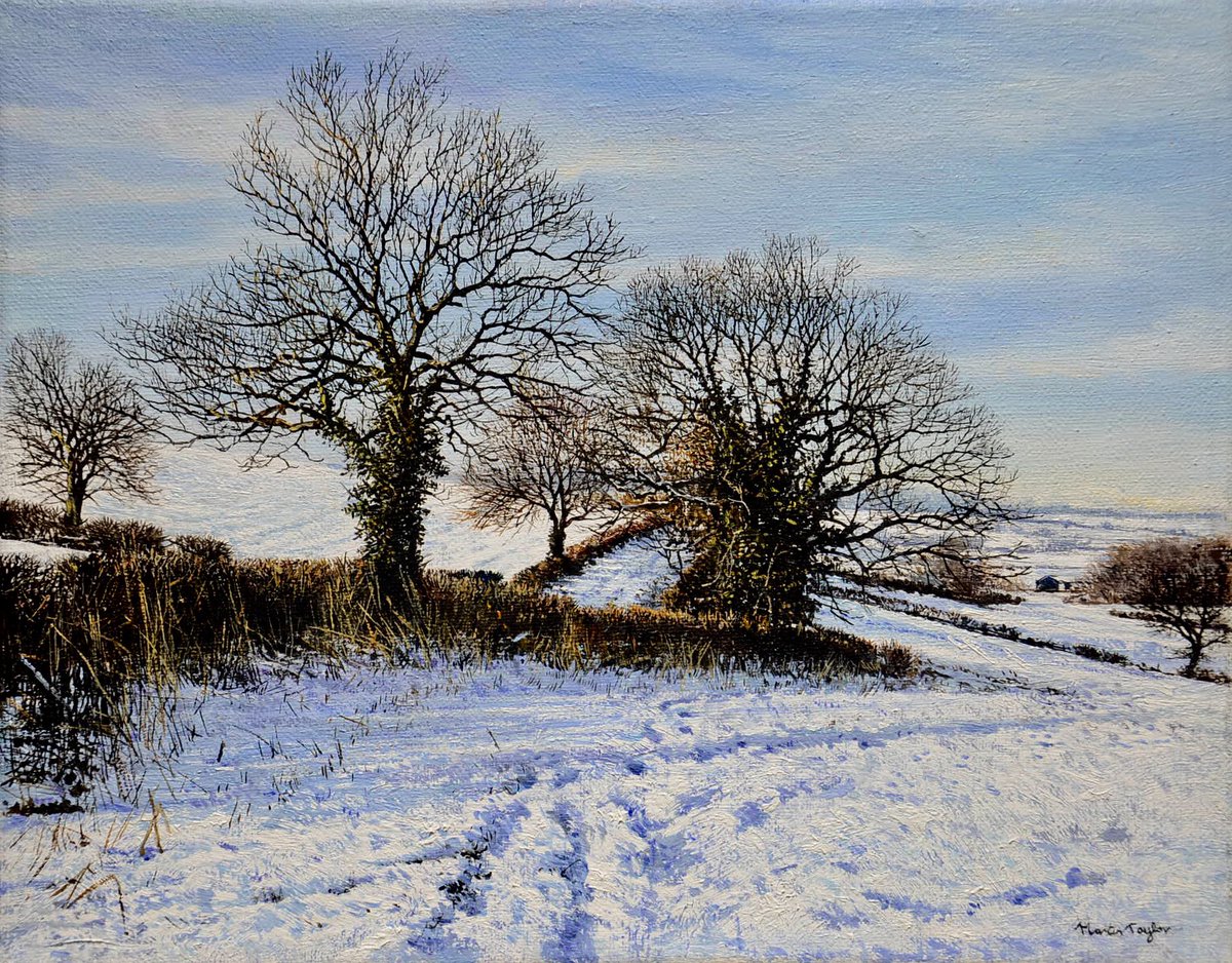 mtaylorart1's tweet photo. @gnuimpersonator @Zara_Pie Here a couple of recent snow paintings though it’s 16 degrees now in November and not much sign of snow. You did so well on PAOTY. There was a couple of other decent artists who nice good work so you did well to get through. https://t.co/JX23YCmGWE