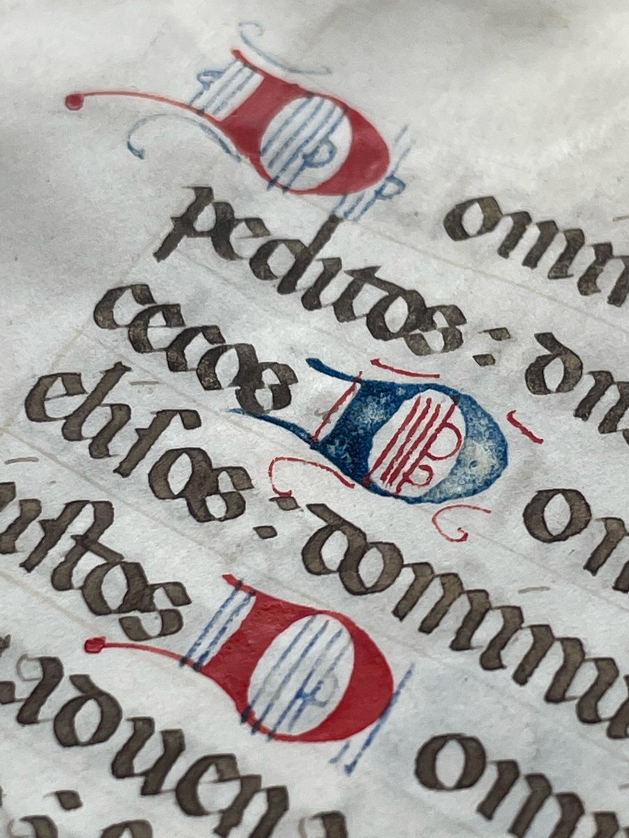 wilsberg's tweet photo. Dominus…. (Psalm 145)
Handschrift auf Pergament, Stundenbuch, Frankreich um 1450. #initiale #initialen #buchmalerei #initials #bookofhours #pergament #handschrift #book #books #bookstagram #instabooks #buch #bücher #antiquariat #antiquariatsolder https://t.co/UMi4dd1bXl