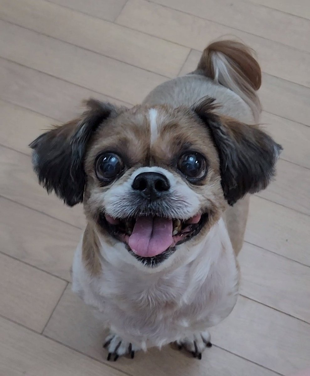chocozzzang's tweet photo. https://t.co/2pKoZ1nEMT