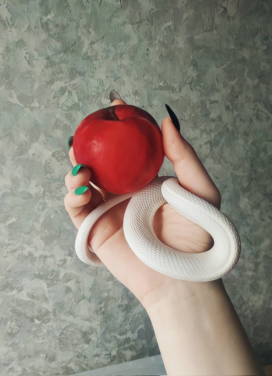 Haterra🍎 my lil evil
#elapheobsoleta #reptile #reptiles #snakes #snake #whitesnake #змея #обсолета #белаязмея #техасскийполоз #крысиныйполоз #полоз #рептилии  #slytherin