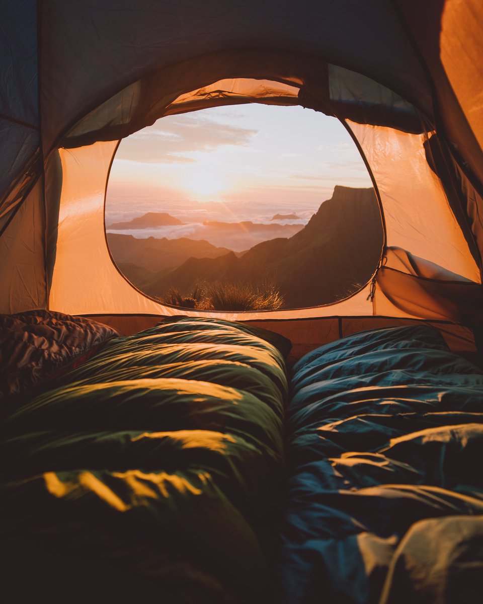 Giulia Gartner tweet media