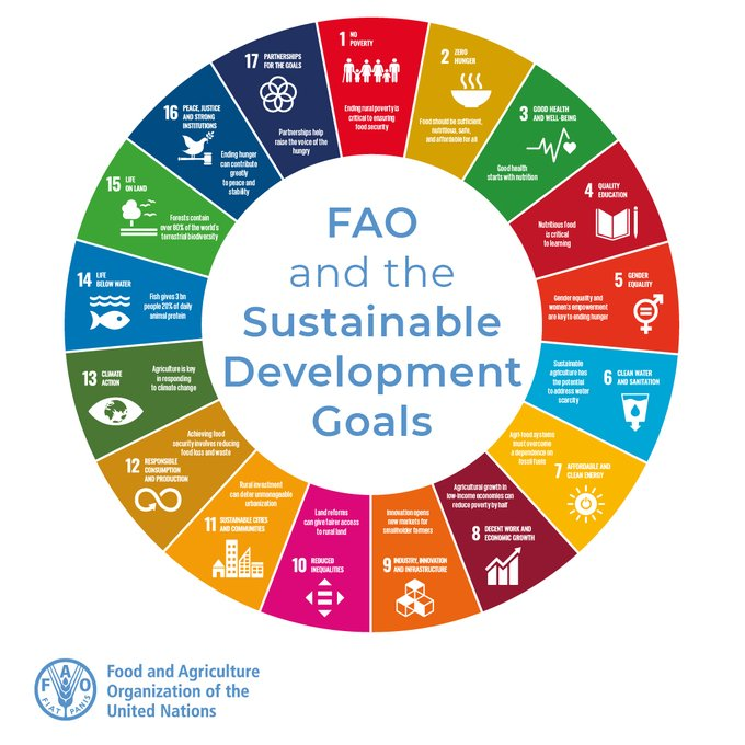 FAOSomalia's tweet photo. 17 goals.
8 years to achieve them.
1 future.

Food &amp; agriculture lie at the heart of achieving each &amp; every one of the 17 #SDGs. 

@FAO is committed to help build a better future for all, learn how 👉https://t.co/Lt37VKve9b https://t.co/5wDcX6dMT5