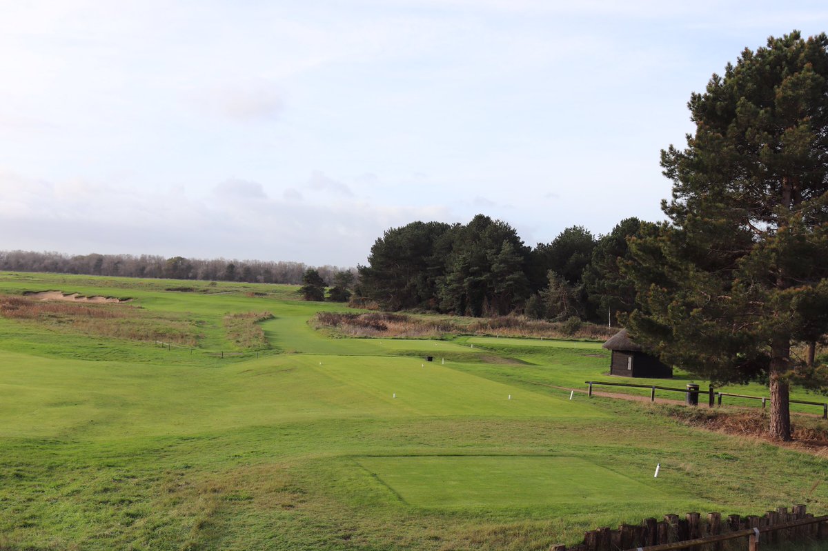 Bob Scott tweet media