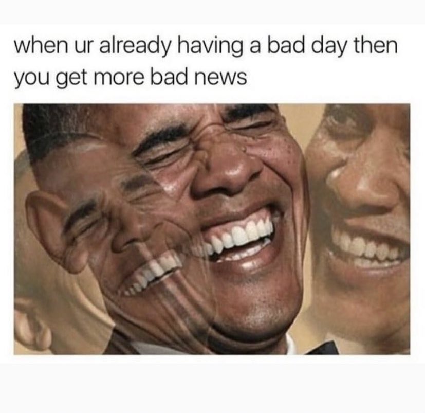 love it, love it, love it