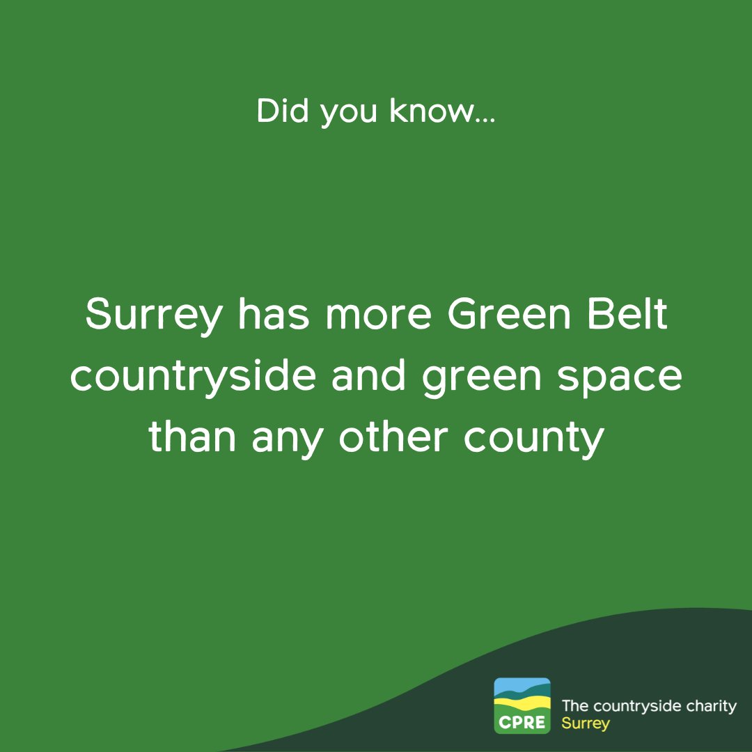 CPRESurrey's tweet image. From rolling chalk downs, rich #grasslands, and #wildflowermeadows, our county has so much to offer. 

That’s why it is so important for us to continue to protect our #greenspaces from unreasonable development. Find out more cpresurrey.org.uk/get-involved/