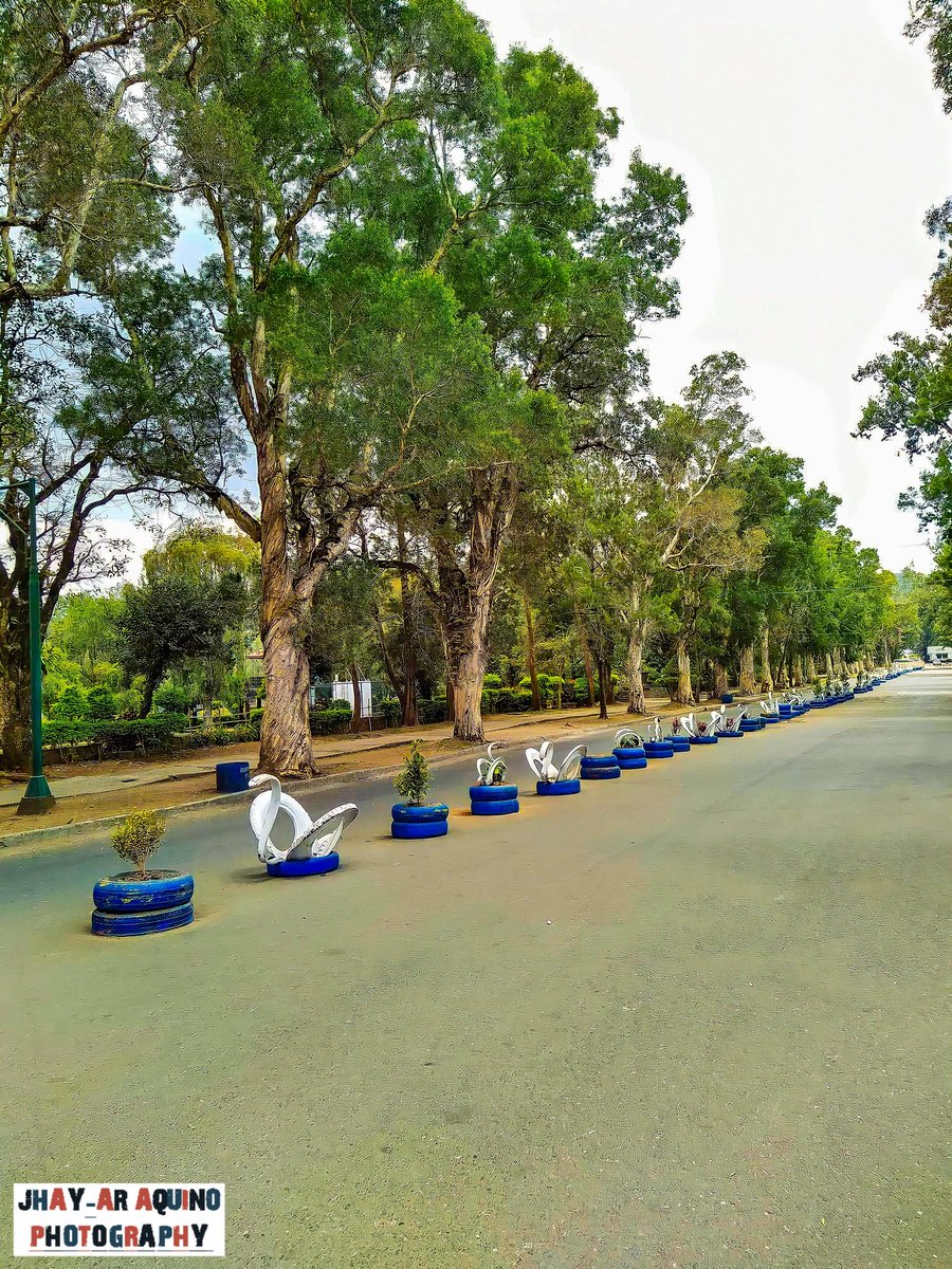 ChayawatSrichai's tweet photo. Baguio city Burnham Park during the first wave of Enhanced Community Quarantine under the Duterte Administration
π· Nokia Mobile 7.2 Auto HDR mode
#Baguio #ECQdays #COVID19 #COVID19PH #lockdown #quarantine #burnhampark #Nokia #photography #photo #photooftheday #photoshoot https://t.co/f1LeMfKH07