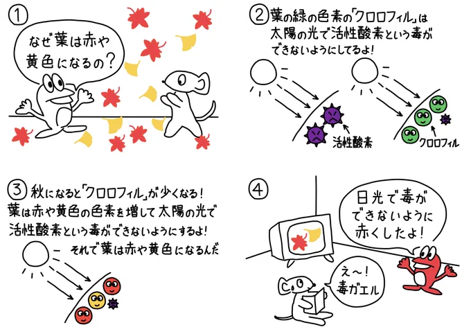 138シュールな紅葉 #漫画が読めるハッシュタグ #絵描きさんと繋がりたい #絵柄が好みって人にフォローされたい #みんなで楽しむTwitter展覧会 #4コマ漫画 #雑学漫画 #紅葉 #もみじ