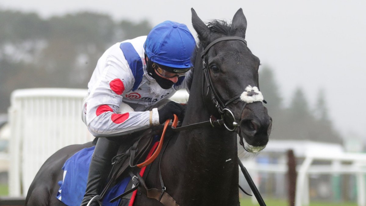 Road To Cheltenham tweet media