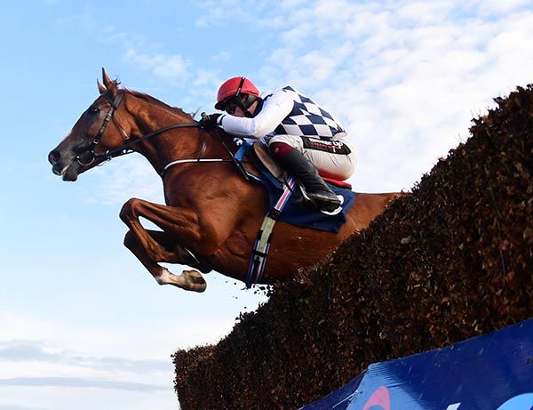 Road To Cheltenham tweet media