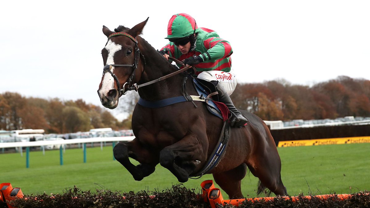 Road To Cheltenham tweet media