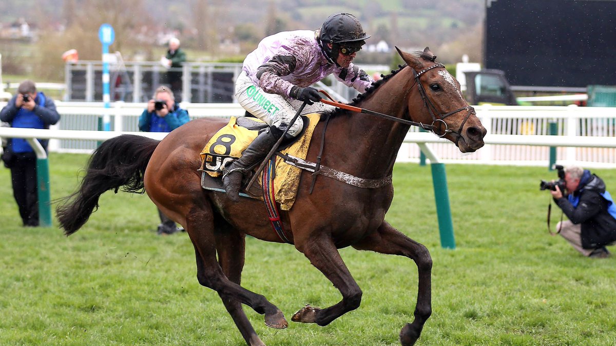 Road To Cheltenham tweet media