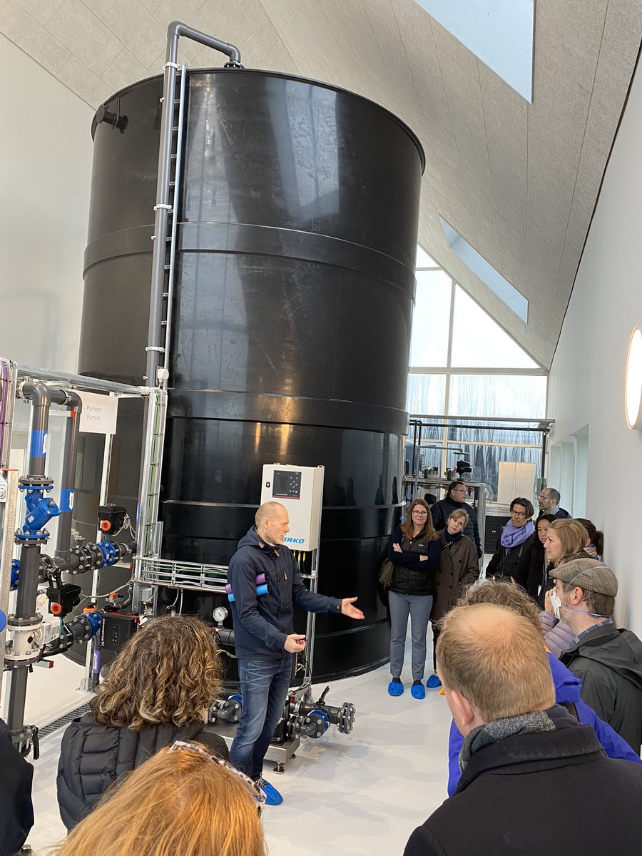 Renee Willette tweet media