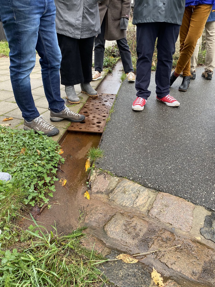 Renee Willette tweet media