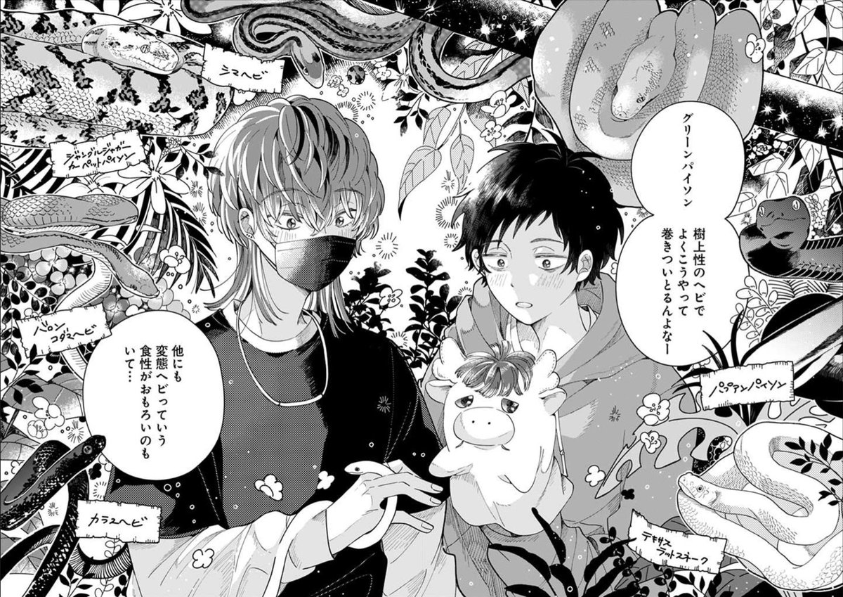 【最新話更新☀️】
#となりの爬虫類くん
6話前半更新されました!
今回はゆたとのコラボ回!
蛇がたくさん登場します〜!
スマホだと割れちゃうんだけど
楽しかった見開きページ🐍
https://t.co/7ywUIrKOT0