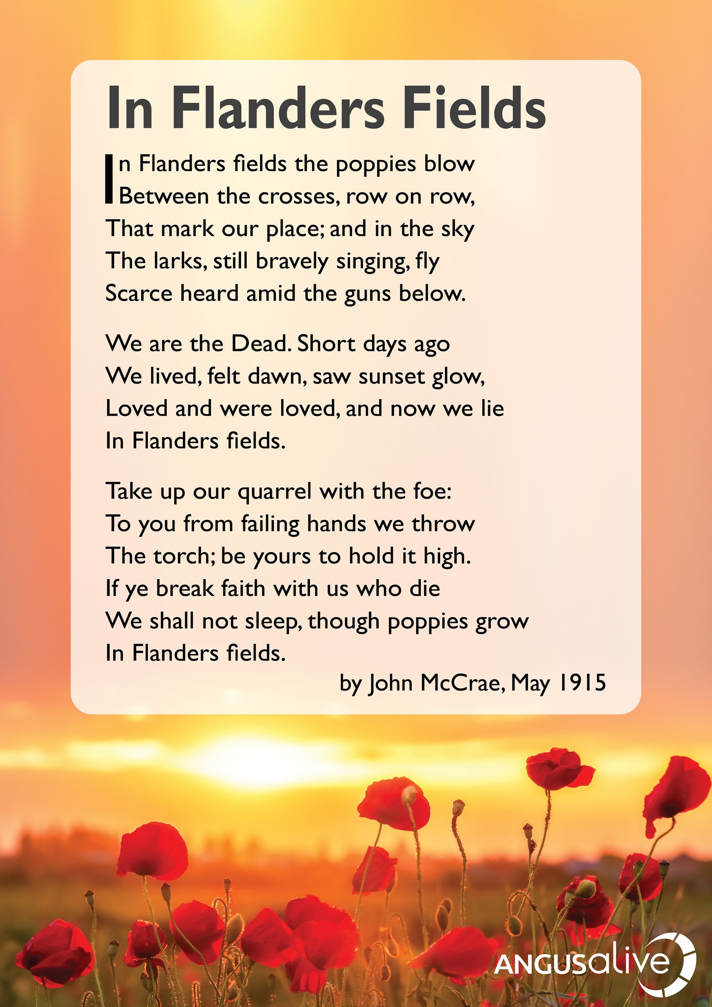 Angusalive on twitter remembrance day at the eleventh hour on the