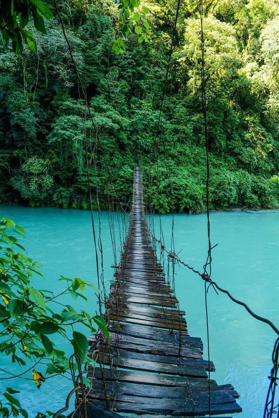 ChinieReese's tweet photo. Until you cross the bridge of your insecurities,
You cant begin to explore your possibilities. https://t.co/ufmT8xXvg9