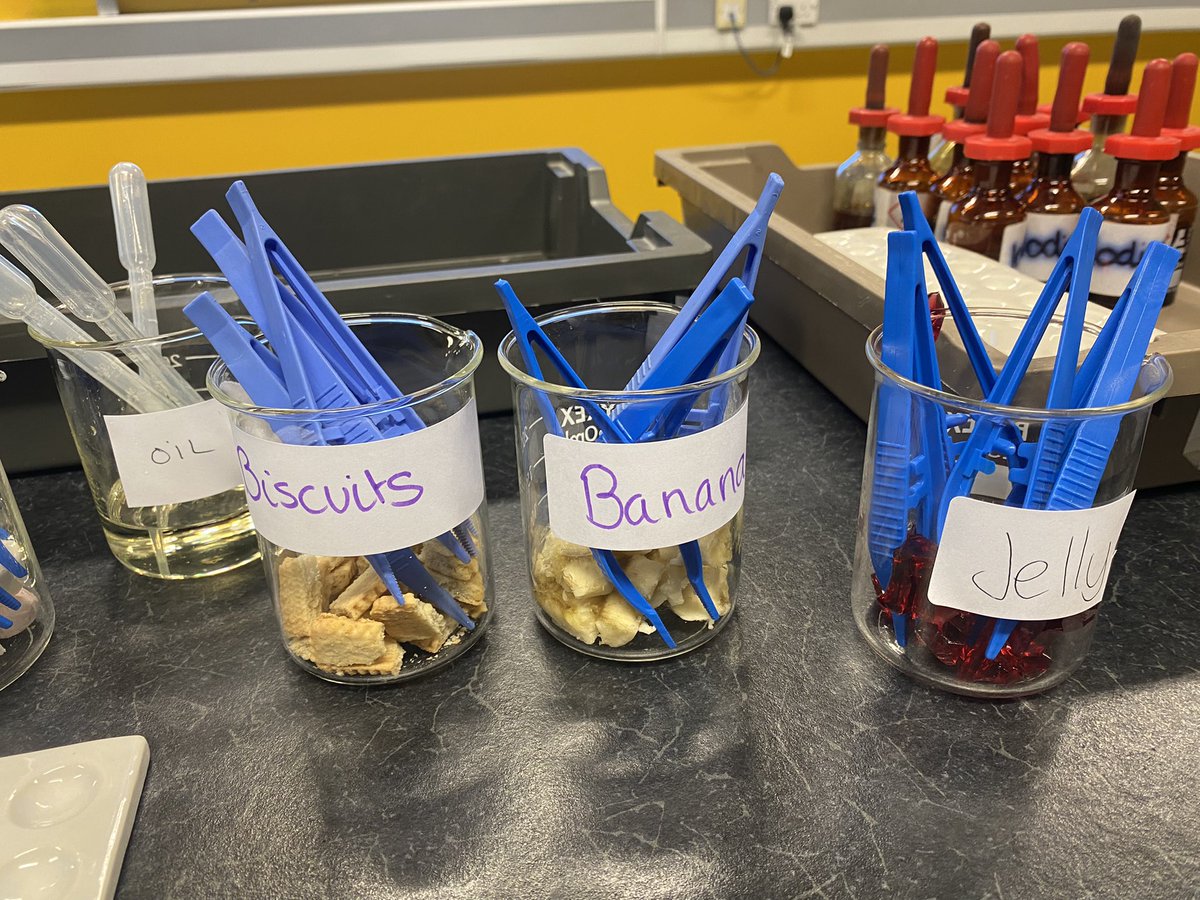 CMA_science's tweet photo. Year 1️⃣0️⃣ have been testing different food sources for starch as part of the GCSE #Biology required practical 🍏 🍌 🍊 🍪 🍟 

@CedarMountHigh @CMA_STEM #STEM #Science https://t.co/x6PINhrgsU