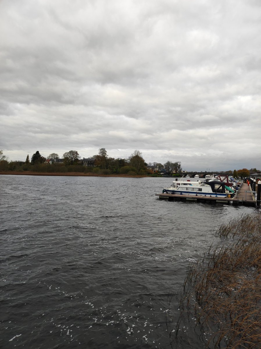 hqmulligan's tweet photo. In Lovely Leitrim today, which is actually looking a bit soggy, for #Biofarm22 with the @NatOrgSkill. Always really like coming to Carrick on Shannon, something very unique about the place.
Today's interviews are largely about cows and dairy farming ๐ https://t.co/TSSXUxuxfg