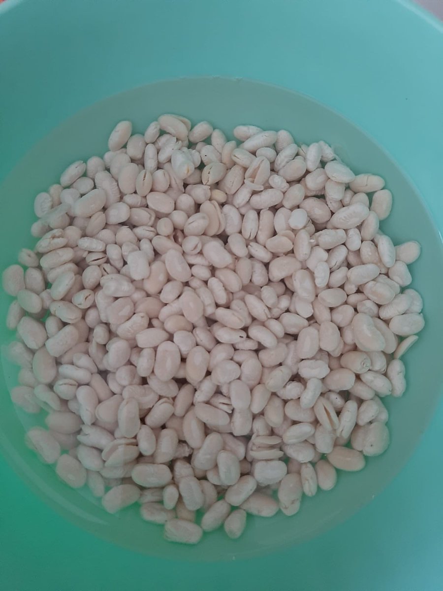 Duru ürünlerini severek güvenerek kullanıyorduk market raflarında diğer markalara göre daha pahalı olmasına rağmen mutfağınızdan eksik etmedik.Dün marketten aldığım fasulyeyi bugün suya koydum fasulyeler çatladı,pistiginde ne durumda olurlar bilmiyorum #durubulgur #durubakliyat