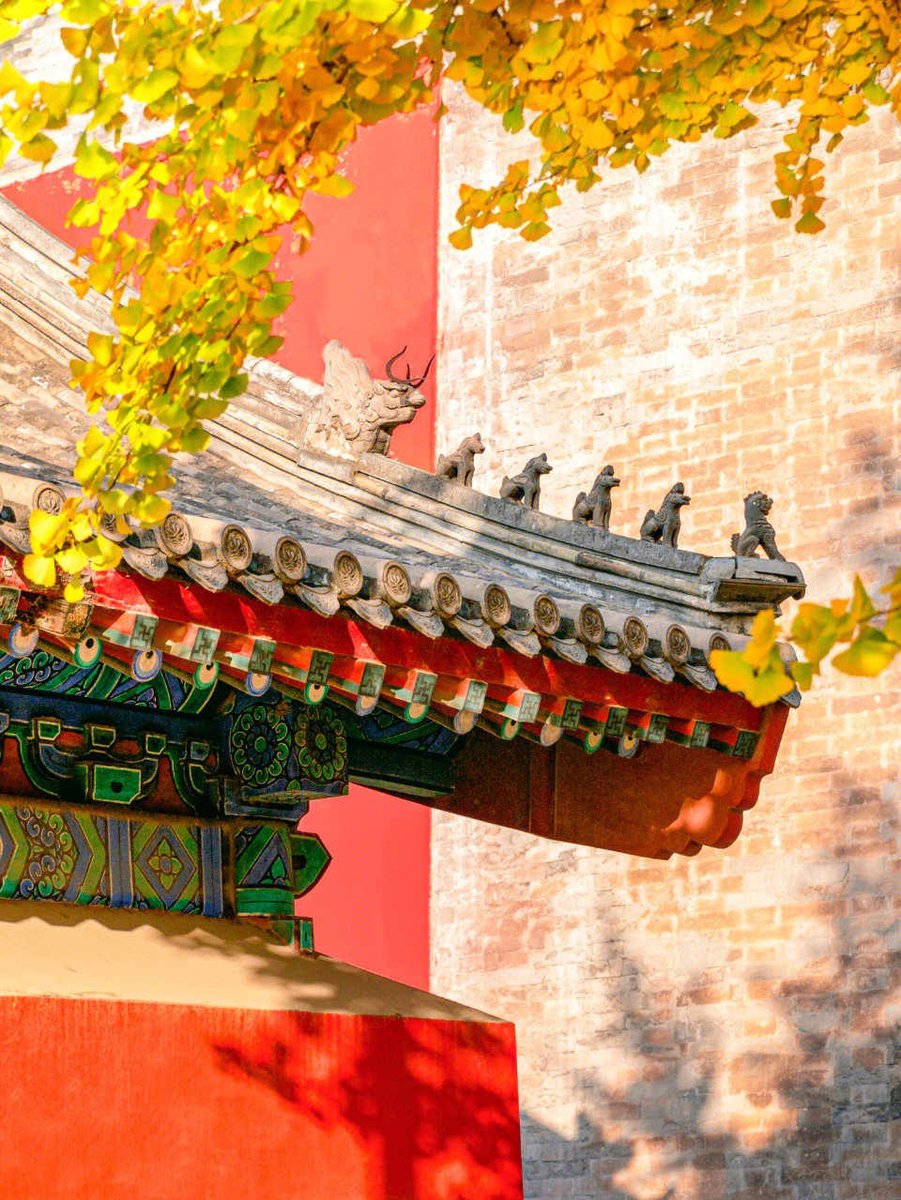 jingyanghe3's tweet photo. A corner of the Forbidden City https://t.co/R2bkkOCg8v