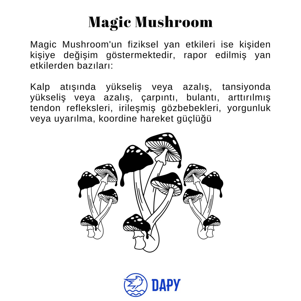 DapyProject's tweet photo. Uyuşturucu madde kullanımının sanat üzerindeki etkisi. https://t.co/LFh4tjDziC
