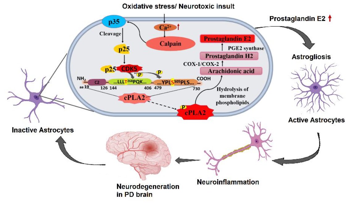 The Science of Parkinson's tweet media