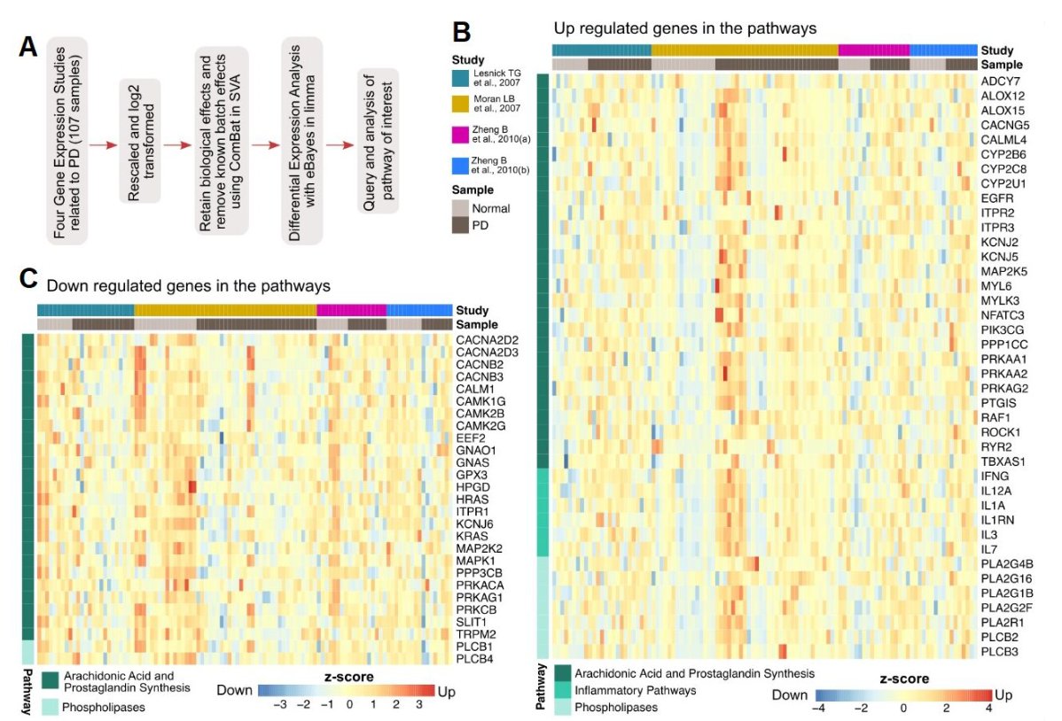 The Science of Parkinson's tweet media
