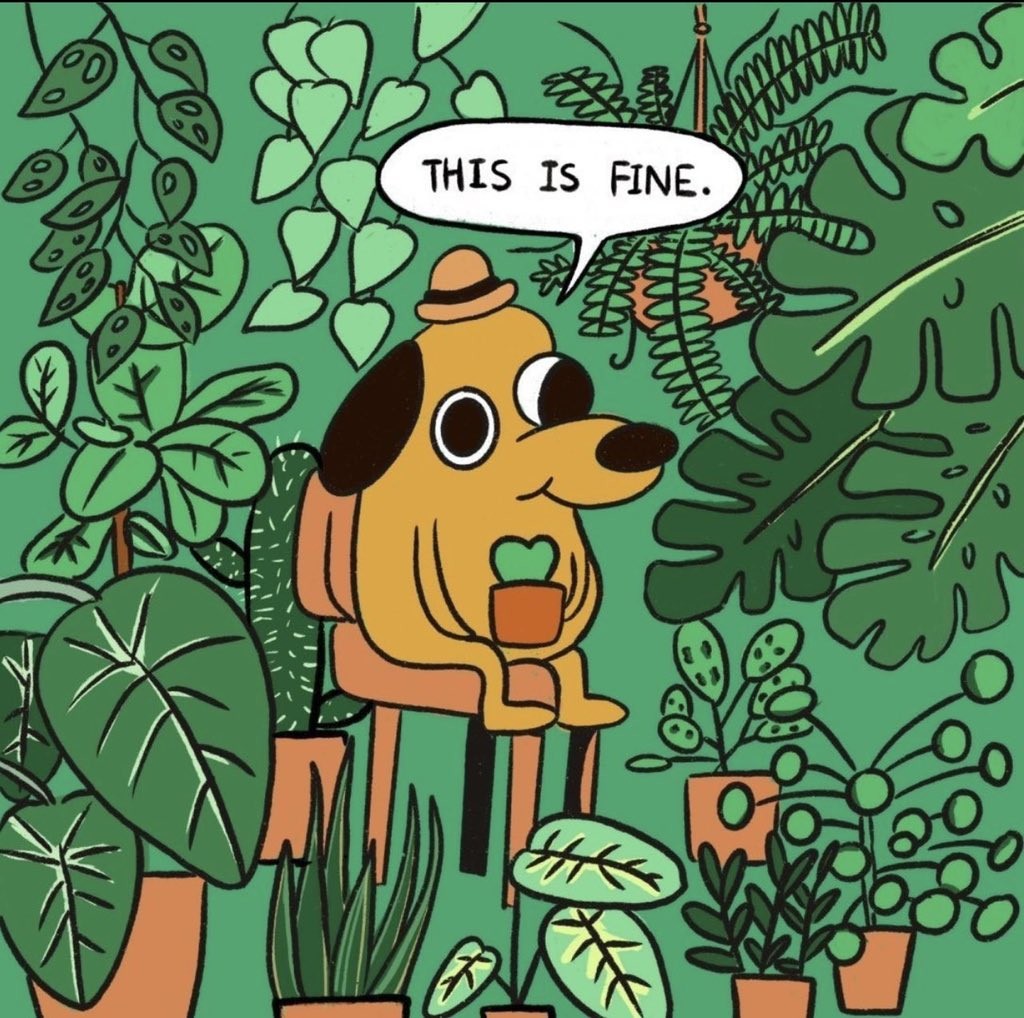 RT @WTL@mastodon.social
Initial impression of Mastodon…
mastodon.social/@WTL/109317218…