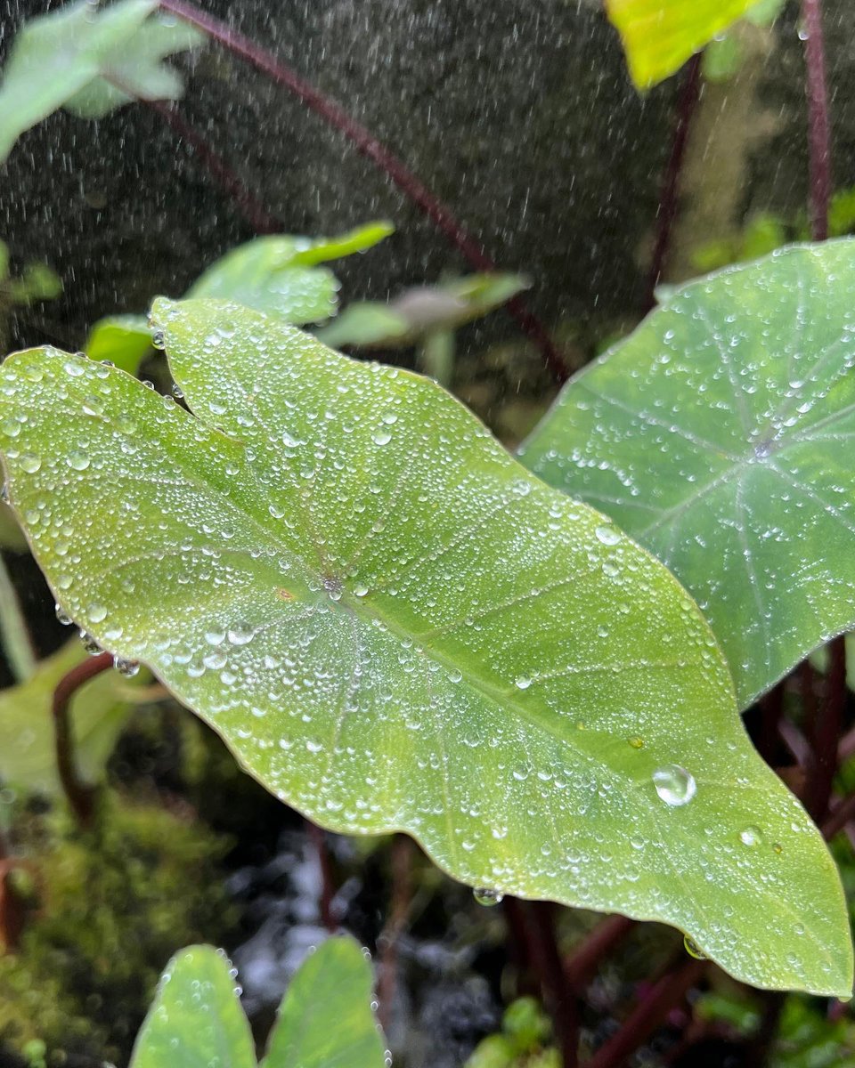 Cameron Tasker tweet media