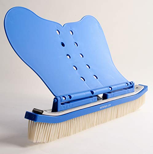 GrahameWhyte's tweet photo. How To Pick The Best Pool Brushes 2022? Pro Tips & Guide
Our article includes information from basic to detailed about pool brushes.
Read more: https://t.co/mB76kKZhtp
#TedToolscom #TedTools #BestPoolBrush #PoolBrush #WhyteGrahame https://t.co/bjlv1Z64I5