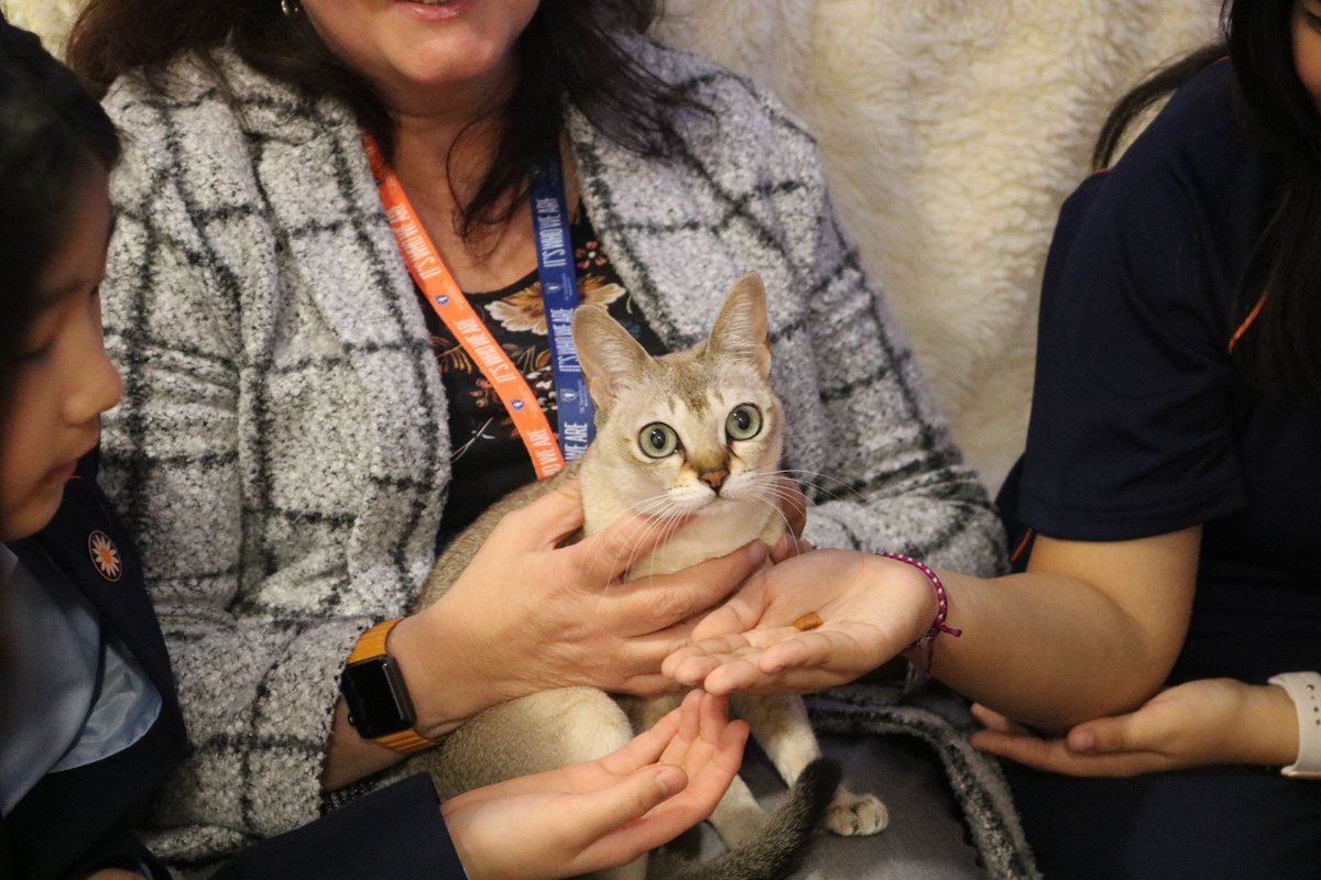 The Le Roy rescues had a fantastic evening with the boarders. After school cuddles makes to a calm end of the day! #iloveboarding #stswithunsboarding #StSwithunsFun