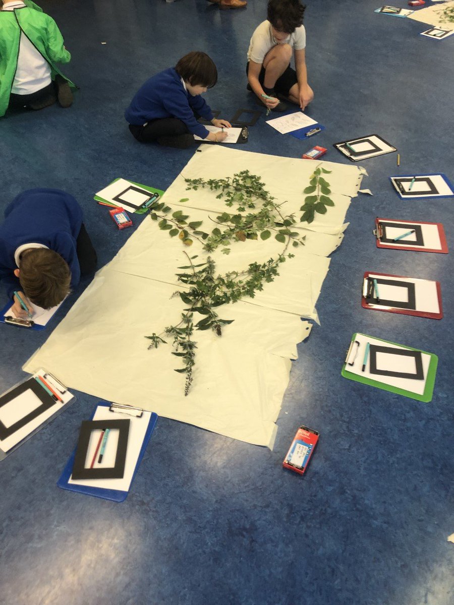 BSNJSV's tweet photo. Inspired by the work of David Hockney, #JSVYear4 have been studying nature and completing network drawings by imagining that they are insects crawling through the leaves and drawing what they can see. https://t.co/47jrAPLXSo