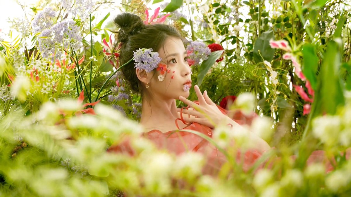 IU CHAM JOTDA On Twitter IU IUofficial iu-cham-jotda-on-twitter-iu-iuofficial