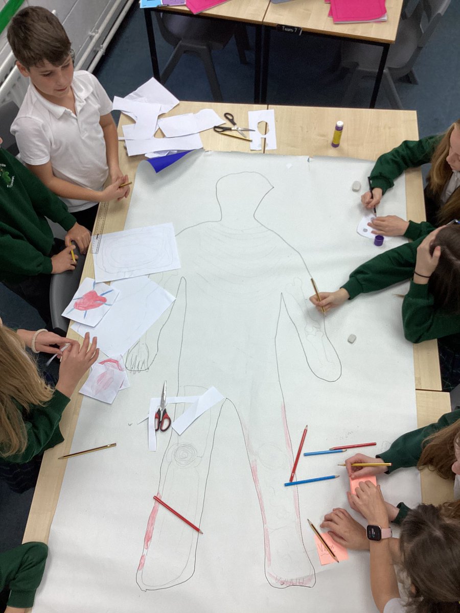 LittleSuttonCoE's tweet photo. To celebrate #WorldScienceDay year 6 have been using their prior knowledge from year 4 to locate and draw the digestive system, the skeletal system and the muscular system on our life size body maps. #sciencebug https://t.co/pnXvFW8yNm