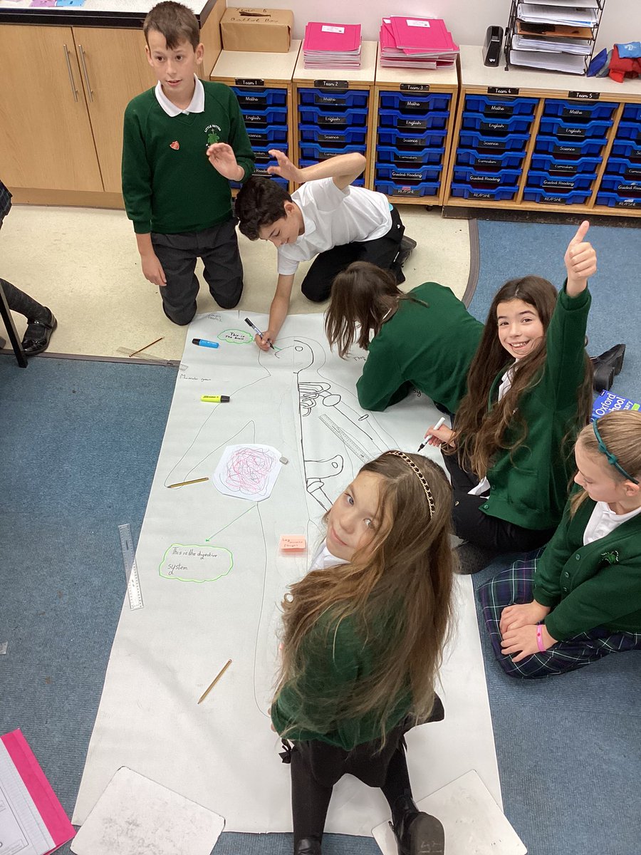 LittleSuttonCoE's tweet photo. To celebrate #WorldScienceDay year 6 have been using their prior knowledge from year 4 to locate and draw the digestive system, the skeletal system and the muscular system on our life size body maps. #sciencebug https://t.co/pnXvFW8yNm