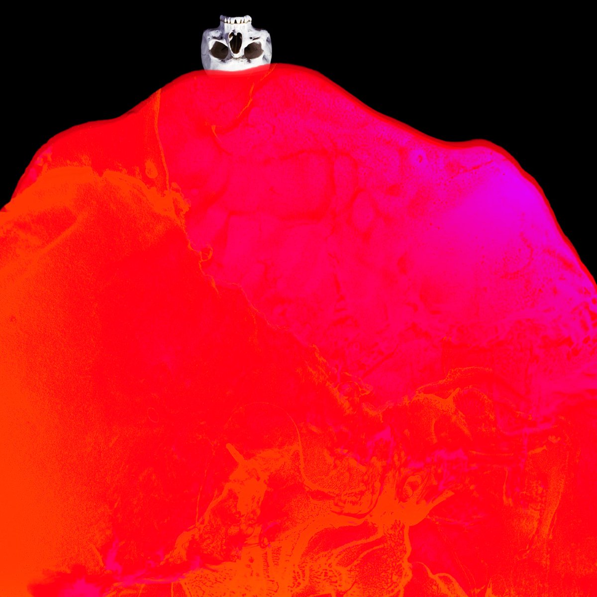 »ROTI KÖNIGIN« ♦️👑
Prod. by Rascal &amp; Venna I Mix &amp; Master: Ryo I Cover: Tommy Vercetti

Heute um 23:59 erscheint die erste Single meines neuen Albums »FILM NOIR« auf allen Streaming-Plattformen. Weitere Infos zum Album, Tracklist, Producers etc. folgen in den nächsten Tagen!