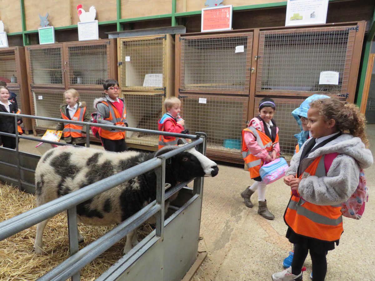 hewensprimary's tweet photo. Year 1 trip to Odd Farm https://t.co/QBLm6Vkhw5