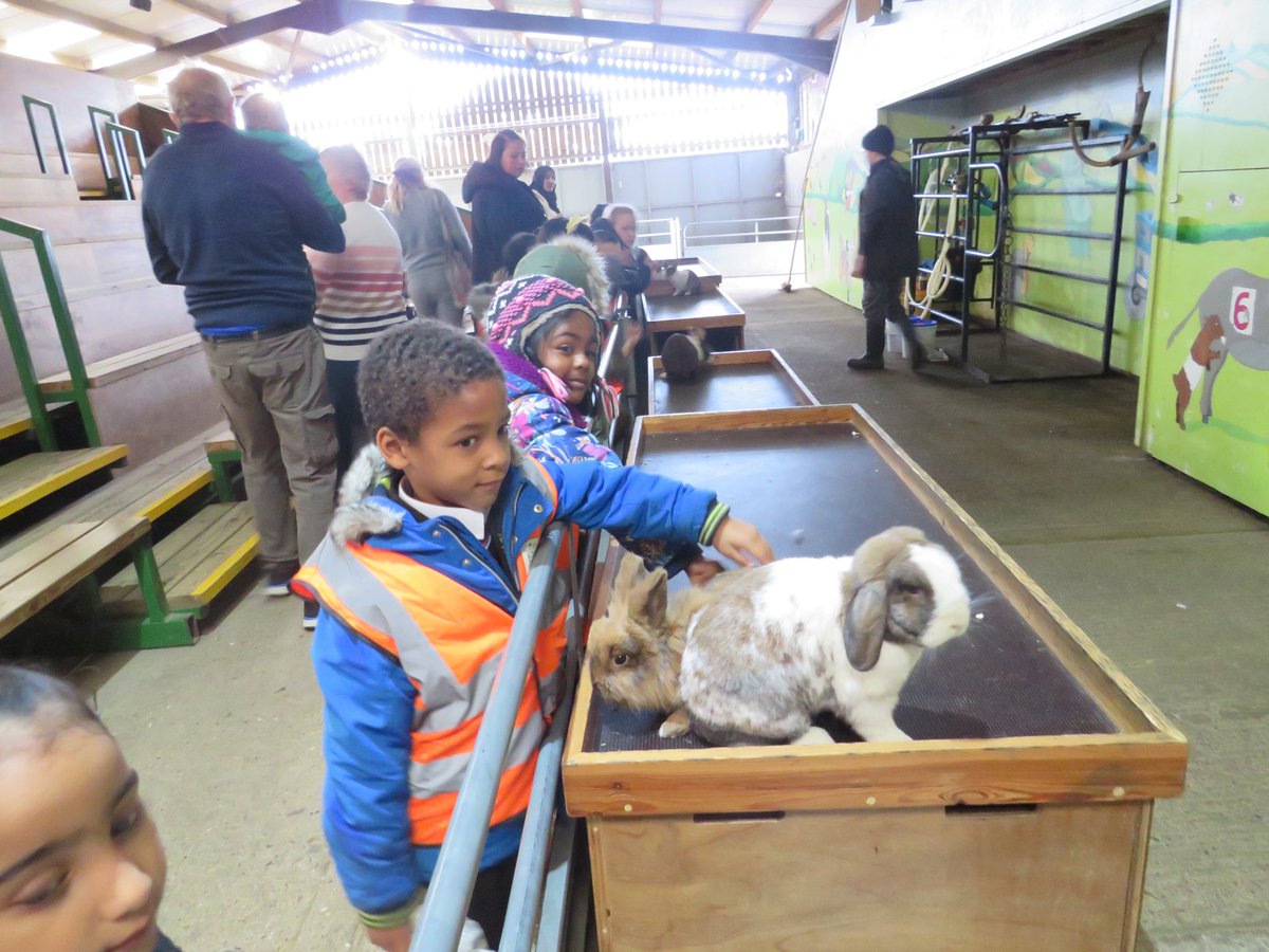 hewensprimary's tweet photo. Year 1 trip to Odd Farm https://t.co/QBLm6Vkhw5