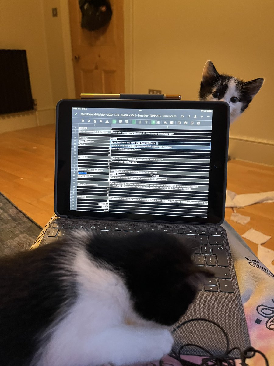 The kittens are helping me with my directors notes! <a href="/ghettofilm/">Ghetto Film School</a>