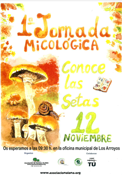 redes_verdes's tweet photo. Nueva #propuestadeproyecto: La @AsociacionALANA, entidad colaboradora de #RedesVerdes @plan_accion, te invita a participar en la 1º #JornadaMicológica "Conoce las #setas" el #12noviembre 🍄https://t.co/d90xgISLti
#ProgramaGAP #TejeTuRedVerde #ConvocatoriaMADS #Micología #Madrid https://t.co/f7StCOerCB