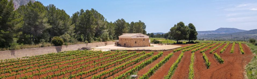 COcejon's tweet photo. https://t.co/OG7ehhPV8H
Esta bodega no solo hace unos vinos excelentes, si no que ademas apoya las iniciativas culturales y artísticas de la comarca, con conciertos, exposiciones, catas, mercadillos.. https://t.co/vnAyQiFPYr