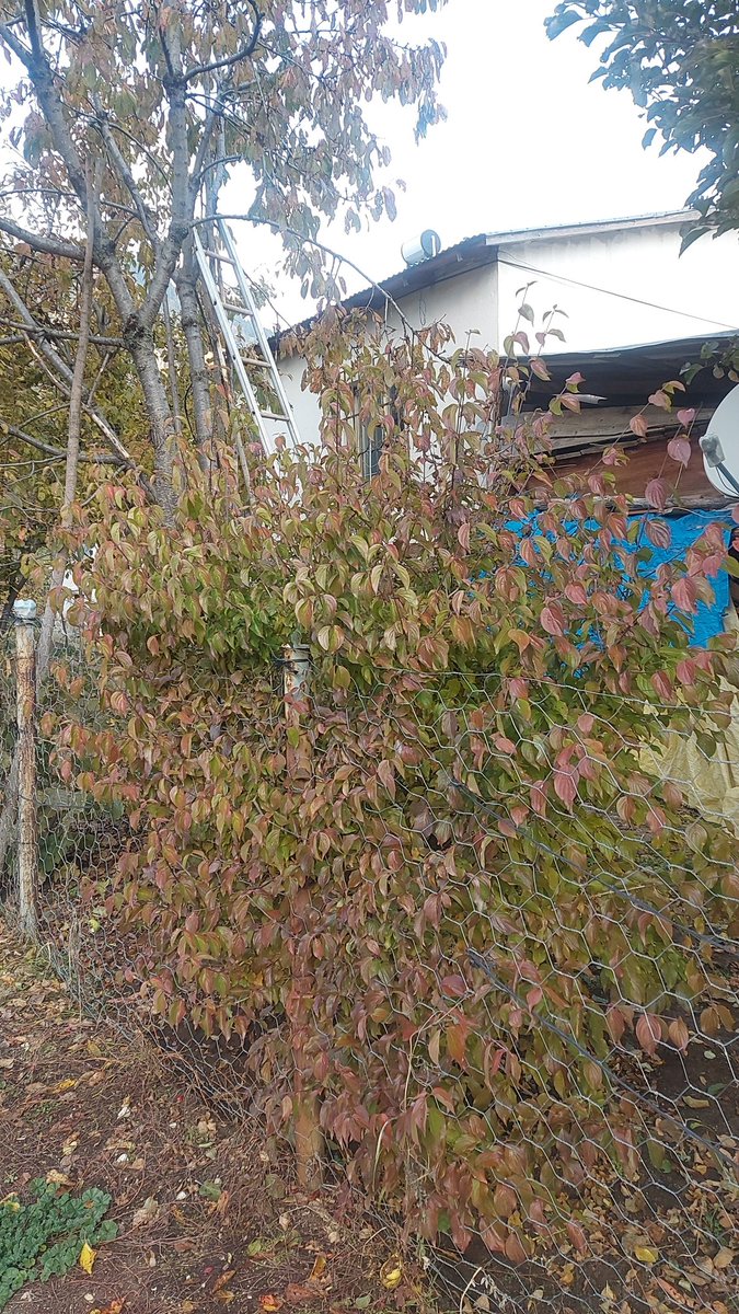 HAYDEYUN HAYDEYUN (@hhaydeyun) on Twitter photo 