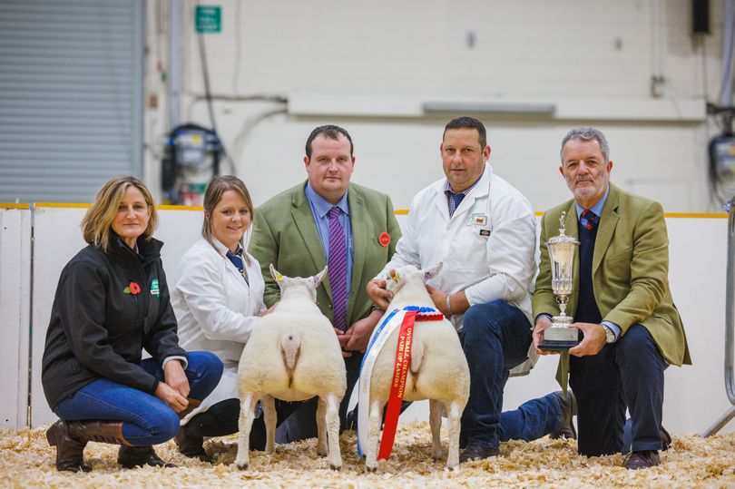 And rightly so! When it comes to producing prime #beef and #lamb, WEST is definitely BEST! 😋😍

South West #farmers come out on top at Agrifest 👉 devonlive.com/news/devon-new…

<a href="/agrifestSW/">AgrifestSouthWest</a> <a href="/DevonCountyShow/">Devon County Show</a> <a href="/WestpointExeter/">Westpoint Exeter</a> 

#Cornwall #Devon #Somerset #agriculture #farming #buylocal
